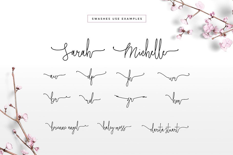 13款手写英文字体合集&Logo模板、矢量插画 Wonderland Fonts Pack & Branding Kit插图(71)