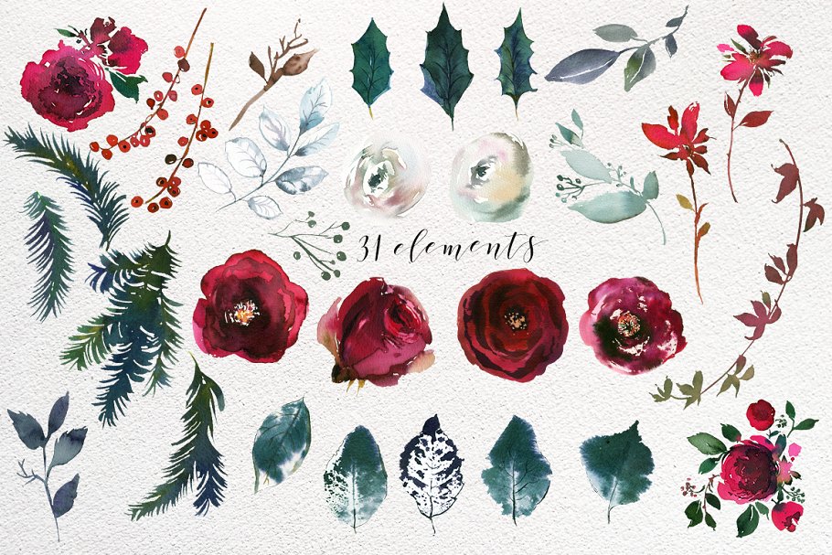 圣诞节氛围水彩花卉剪贴画合集 Christmas Watercolor Flowers Clipart插图(5)