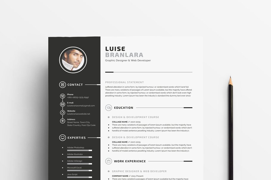 个人简历模板下载 Professional Resume/CV插图(1)