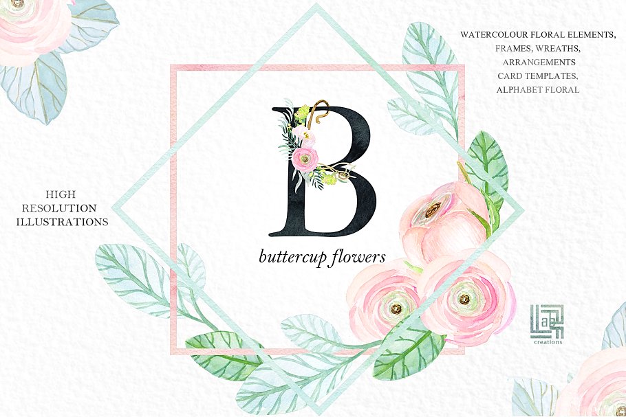 粉红色毛茛属植物水彩剪贴画 Buttercups. Ranunculus soft pink.插图(2)