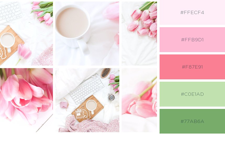 高清郁金香实物场景样机模板 Tulips Photo Bundle插图(9)