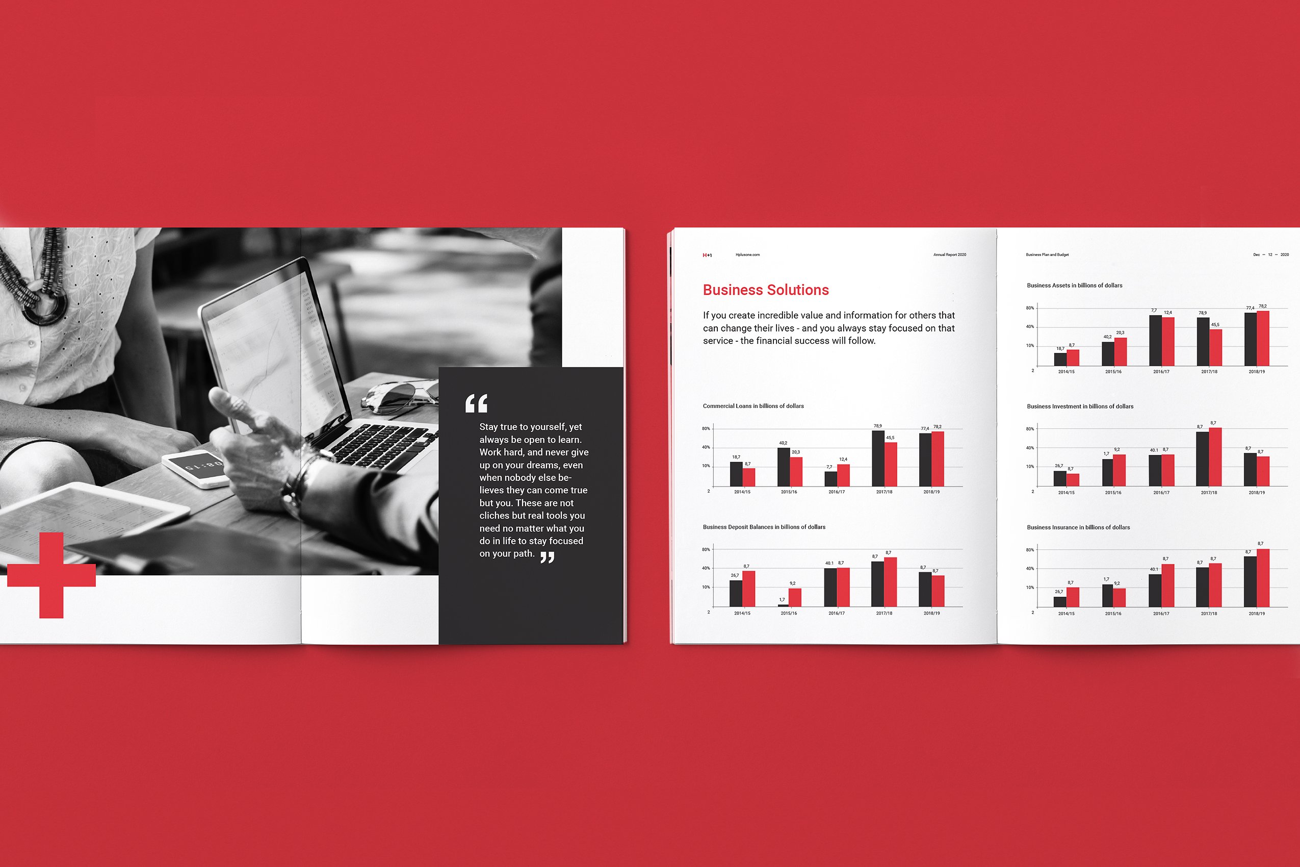 36页专业极简的年度总结杂志模板下载 Annual Reports [indd]插图(10)