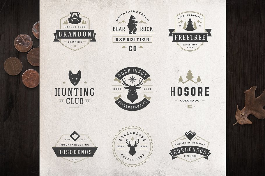 280个户外品牌Logo标志和徽章模板 280 Outdoor logos and badges插图(63)