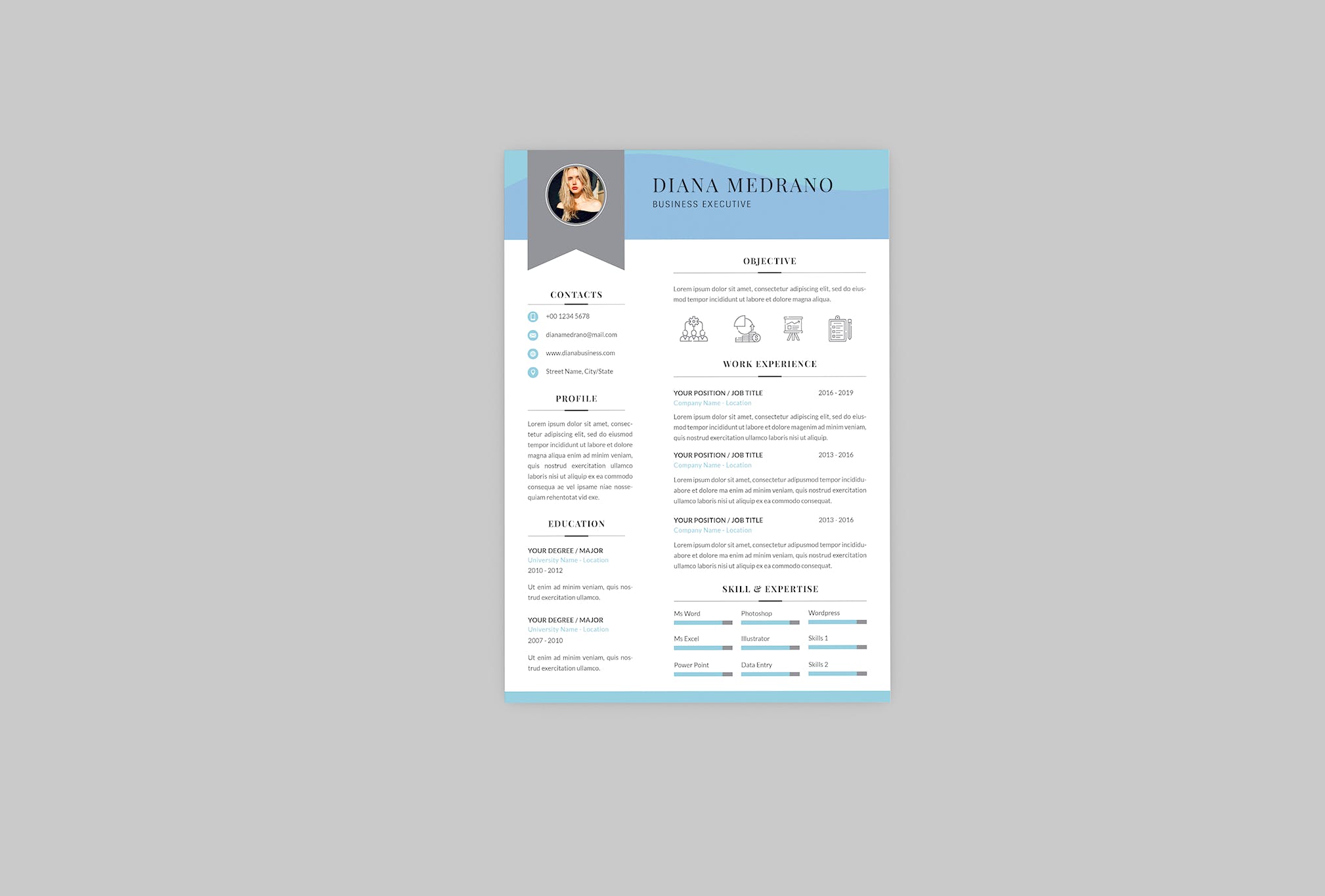 3合1企业主管电子素材库精选简历模板 Diana Business Resume Designer插图(2)
