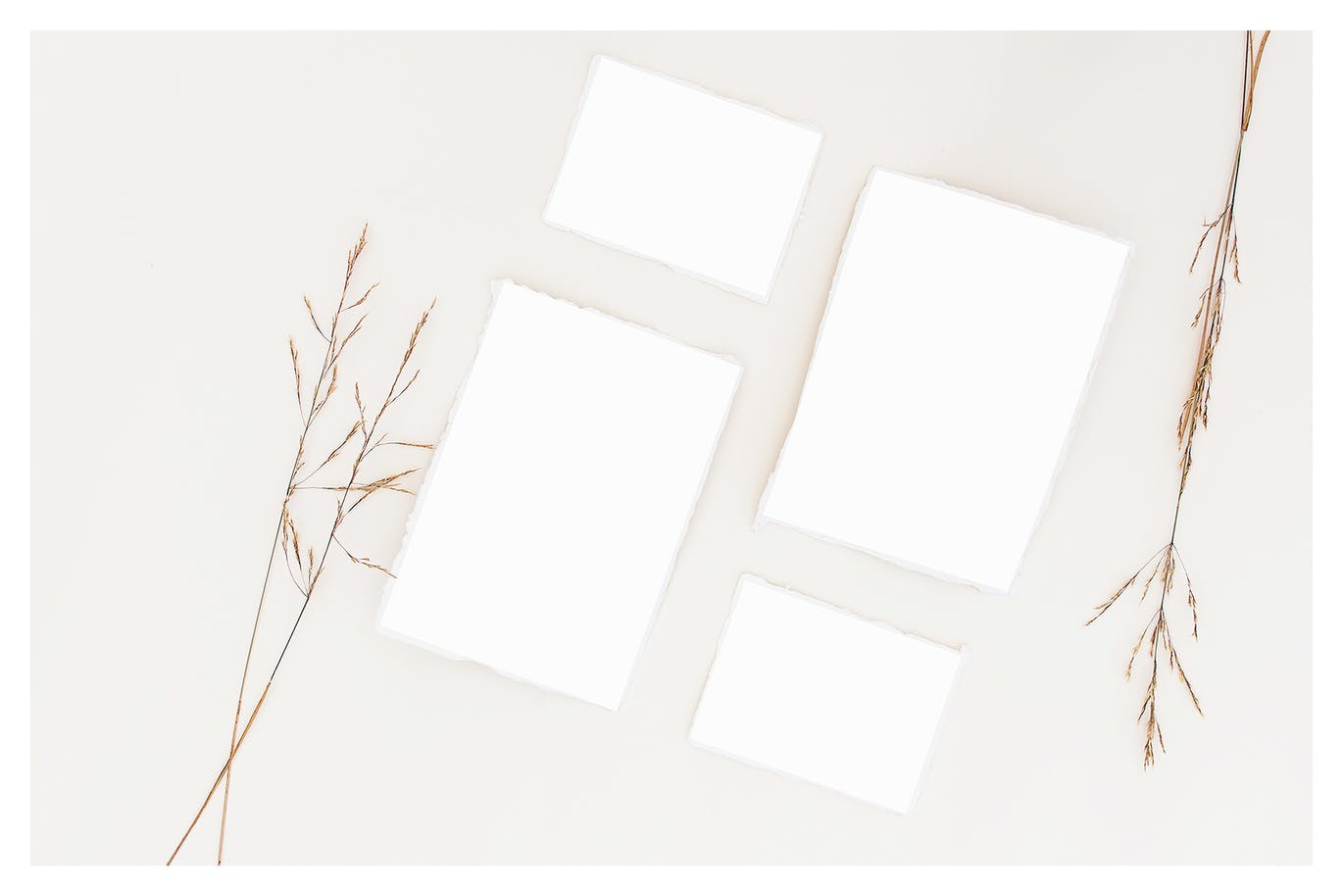 野花装饰背景卡片贺卡设计效果图样机 Wildflowers Cards Mockup插图(8)