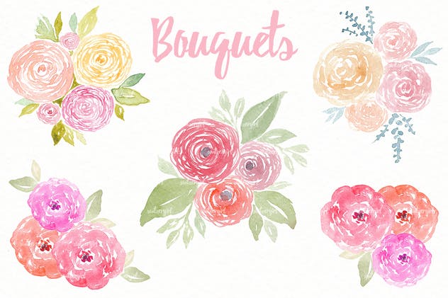 30款花卉&叶子水彩插画合集 Floral Watercolor Collection插图(1)