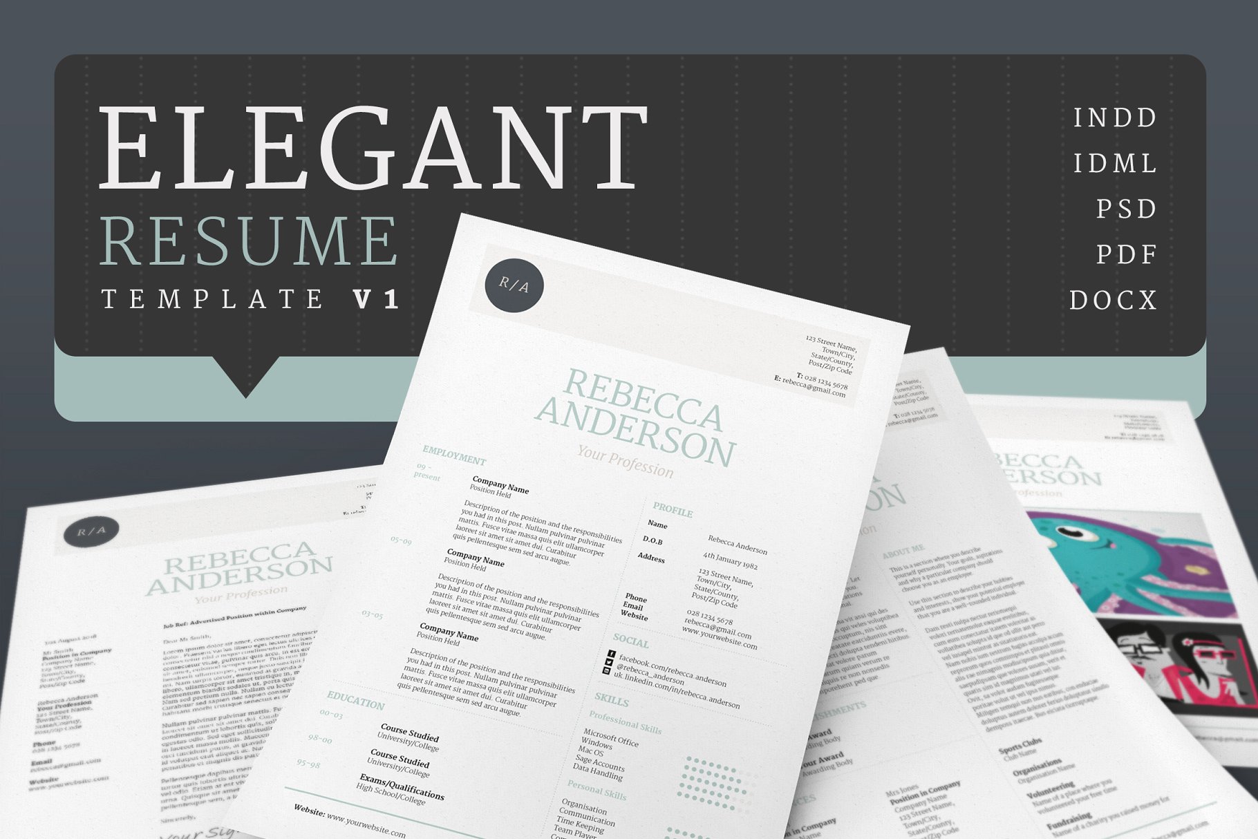 经典实用的求职简历模板V1 Elegant Resume/CV Version 1插图