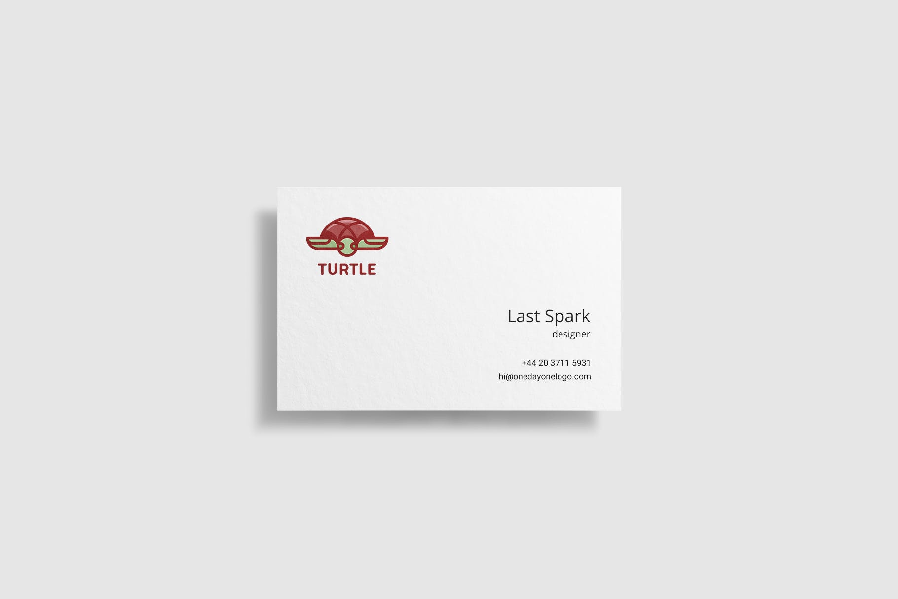 海龟乌龟图形品牌Logo设计模板 Turtle插图(2)