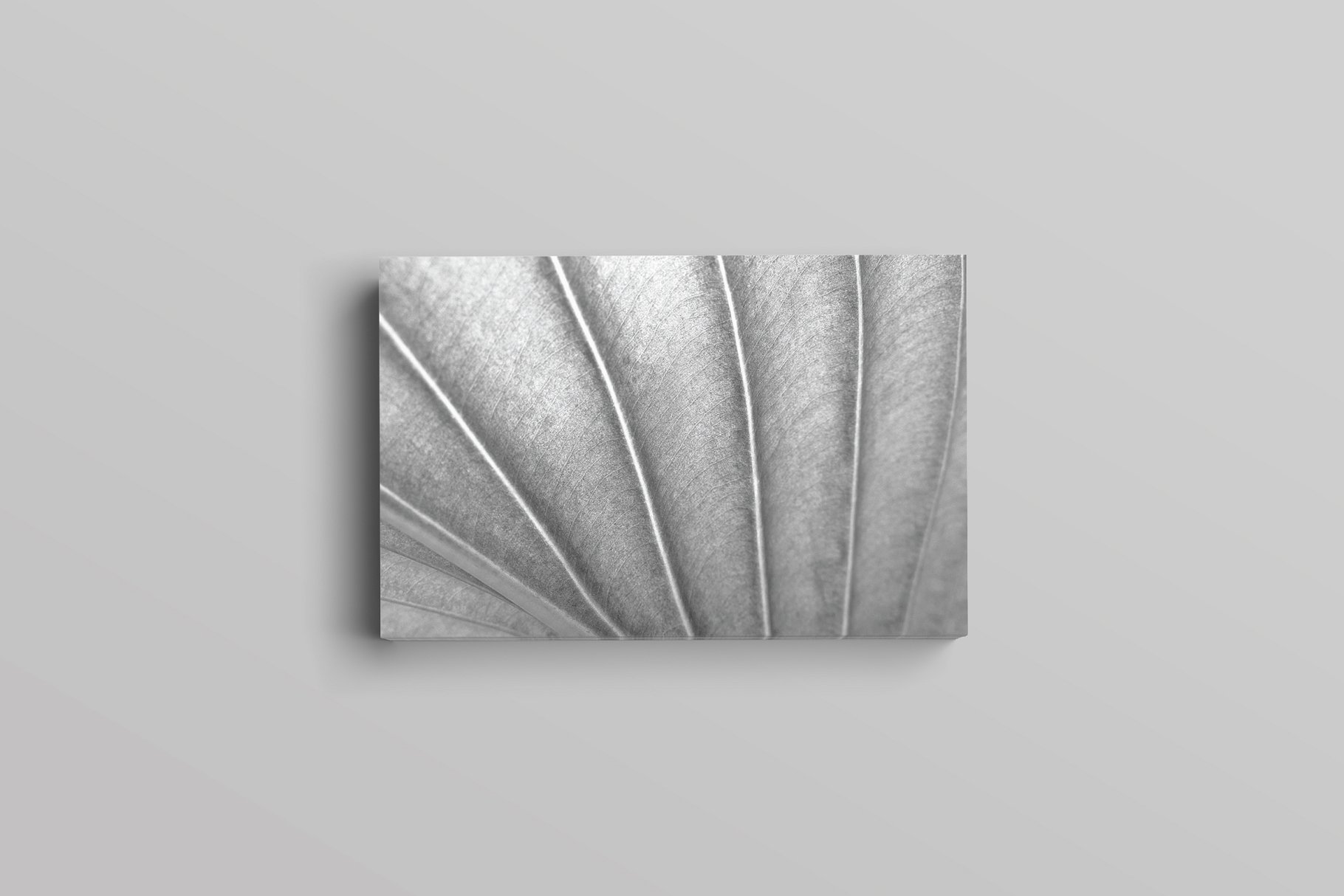 极简主义设计风格企业名片设计模板 Sonneth Business Card Template插图(3)