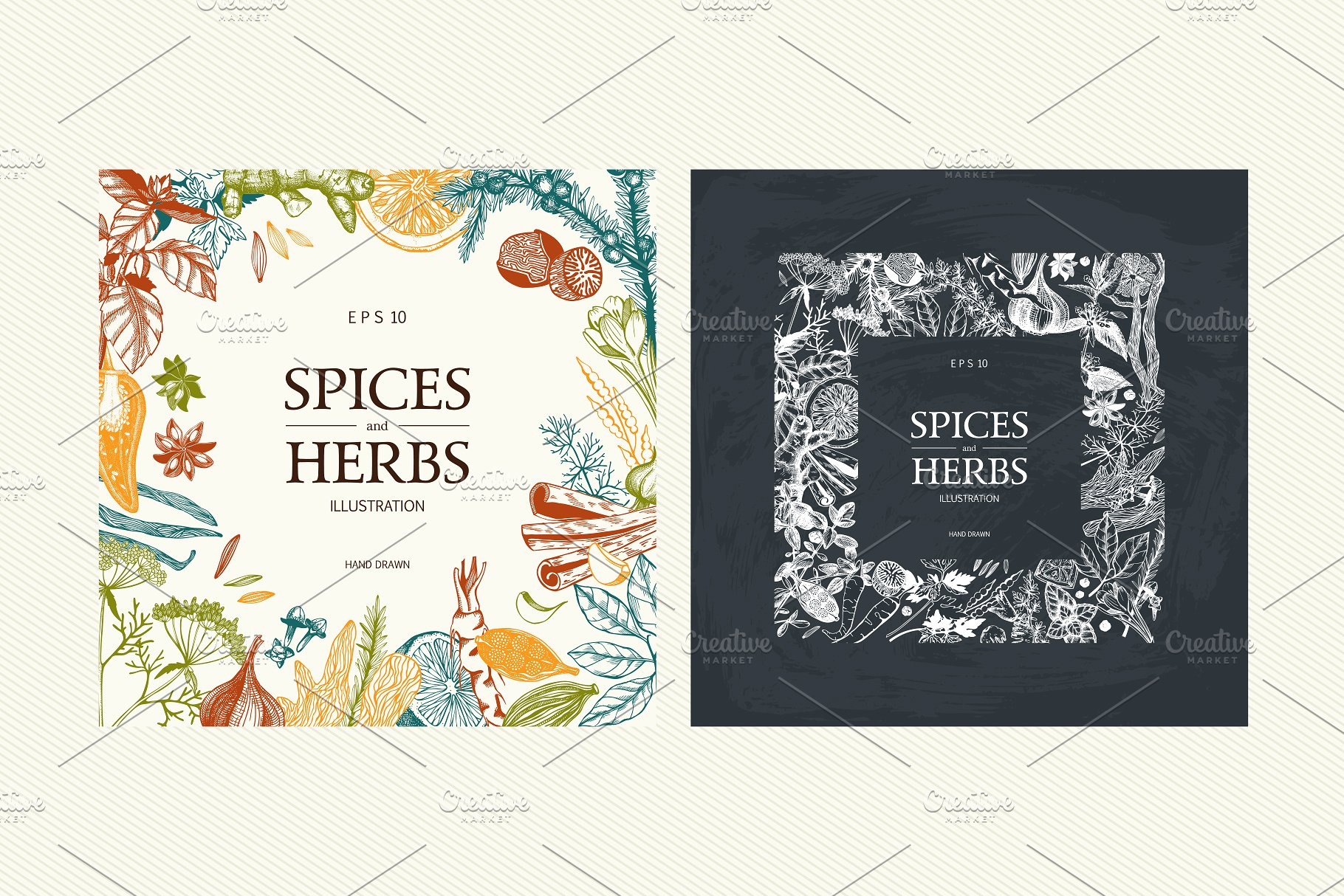 厨房香料及香草矢量插画 Vector Kitchen Spice & Herbs Set插图(8)