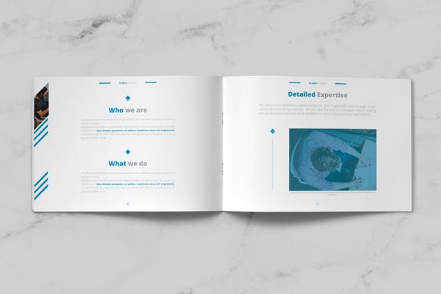 企业项目建议书/提案设计INDD模板 Project Proposal插图(2)