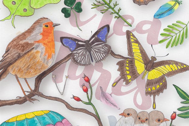 生物系列水彩手绘插图合集Vol.2 Watercolor Creatures vol. 2插图(4)