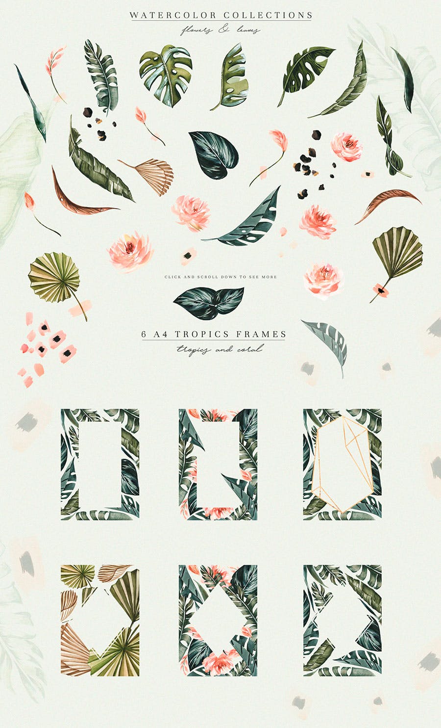 热带植物水彩手绘图案设计素材套装 Tropics & Coral Watercolor Set插图(3)
