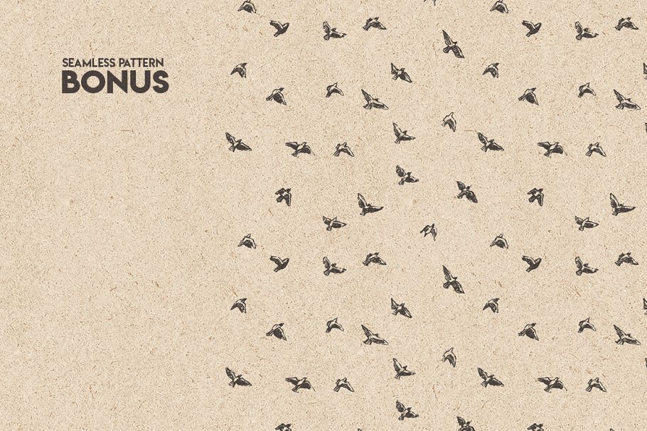 鸟群素描设计素材 Flocks of birds, sketch style插图(11)