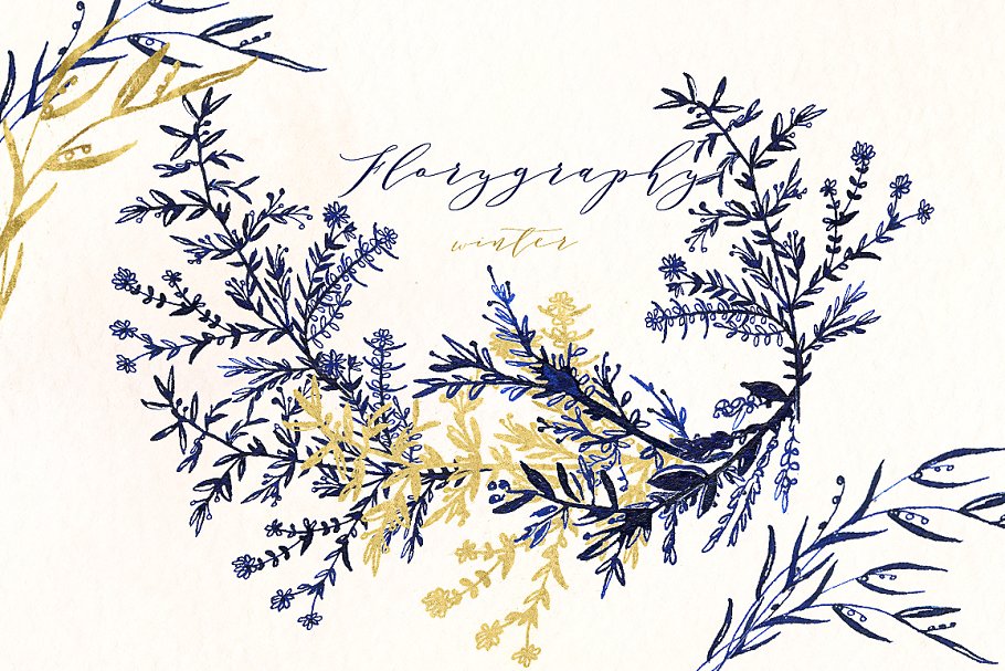 冬季植物志墨水剪贴画 Florygraphy winter. Ink clipart.插图(1)