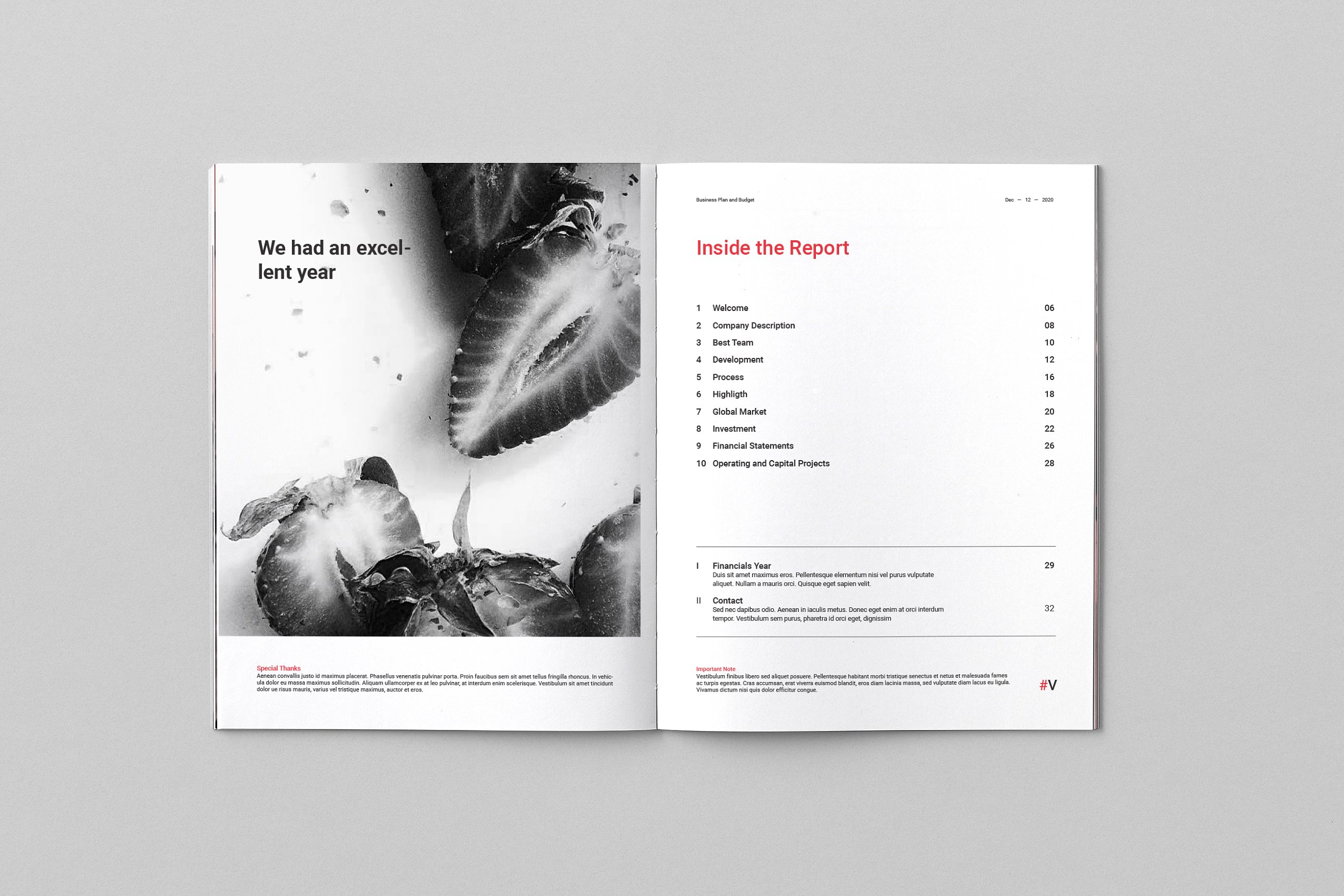 36页专业极简的年度总结杂志模板下载 Annual Reports [indd]插图(2)