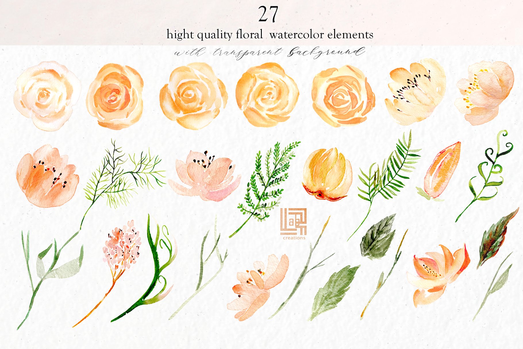 裸色与黄金水彩花卉剪贴画 Nude & gold. Watercolor clipart插图(5)