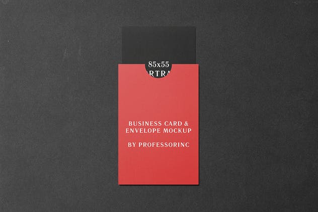 商业品牌卡片/贺卡样机模板 85×55 Portrait Business Card Mockup插图(2)