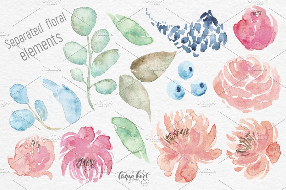 水彩动物和花卉剪贴画 Watercolor Animals, Flowers Clipart插图(2)