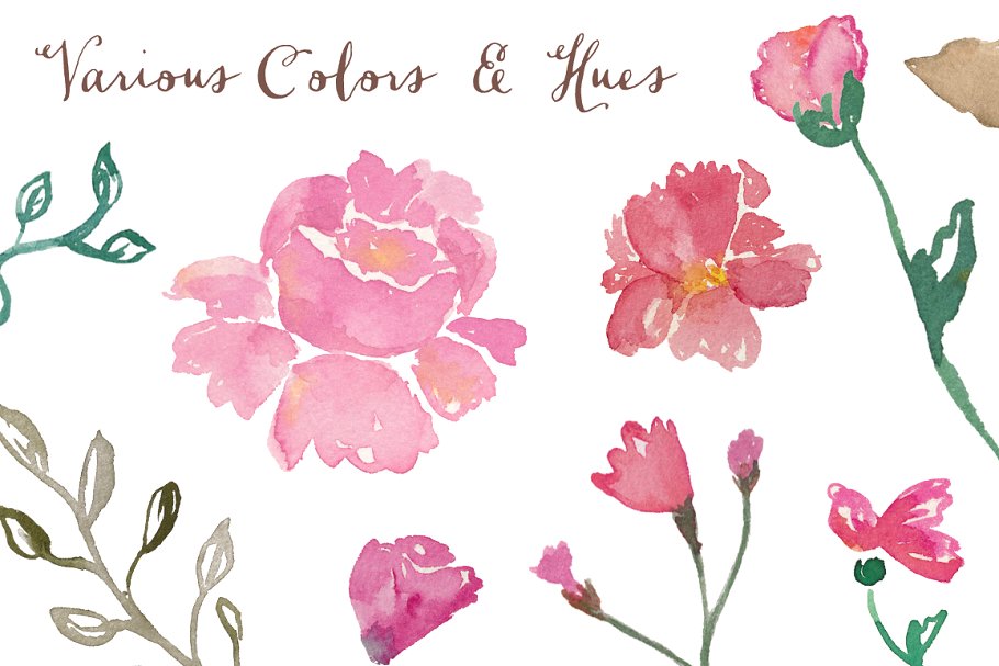 复古风格水彩玫瑰花剪贴画艺术 Vintage Rose Watercolor Clip Art插图(1)