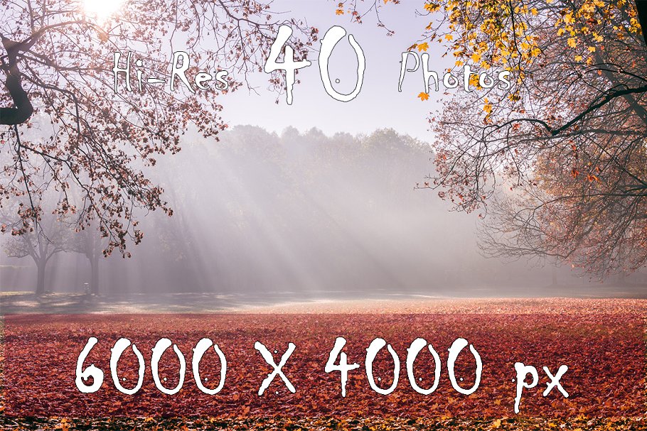 秋天主题高清照片素材 Autumn Photo Pack插图(1)