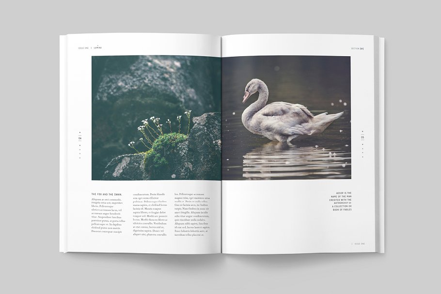 太空大自然主题杂志模板 LUMINA Magazine插图(2)