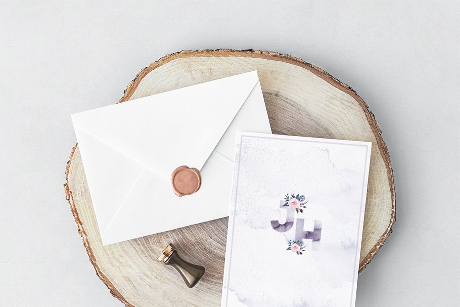 幽灵风格森林动物设计素材[1.11GB] Animals of the Ghost Forest插图(10)