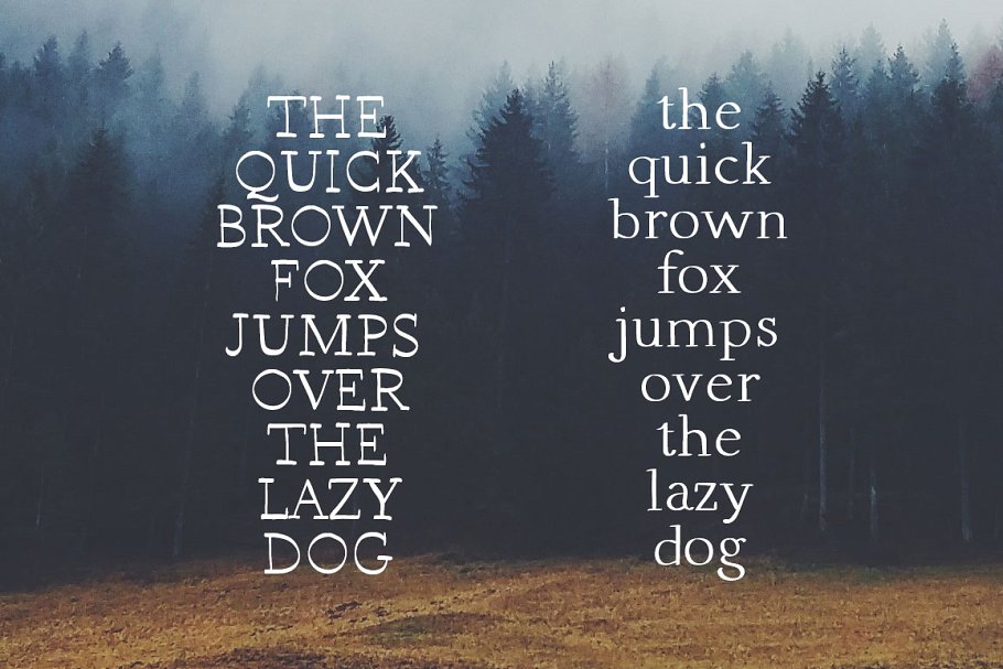 13款手写英文字体合集&Logo模板、矢量插画 Wonderland Fonts Pack & Branding Kit插图(109)