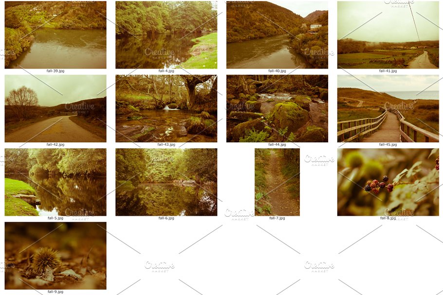 “秋天来了，树叶黄了”-秋天主题高清照片素材 Fall / Autumn photo pack插图(3)