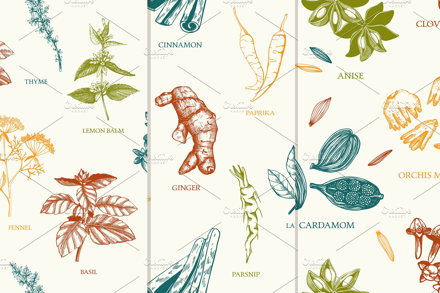 厨房香料及香草矢量插画 Vector Kitchen Spice & Herbs Set插图(9)