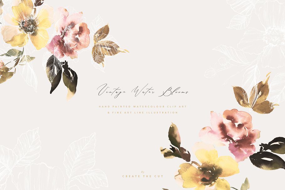 柔和优雅的水墨花朵矢量插画系列 Vintage Water Blooms插图