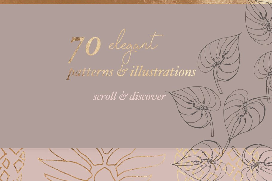 植物与几何图案纹理 Exotic Plants & Geometric Patterns插图(3)