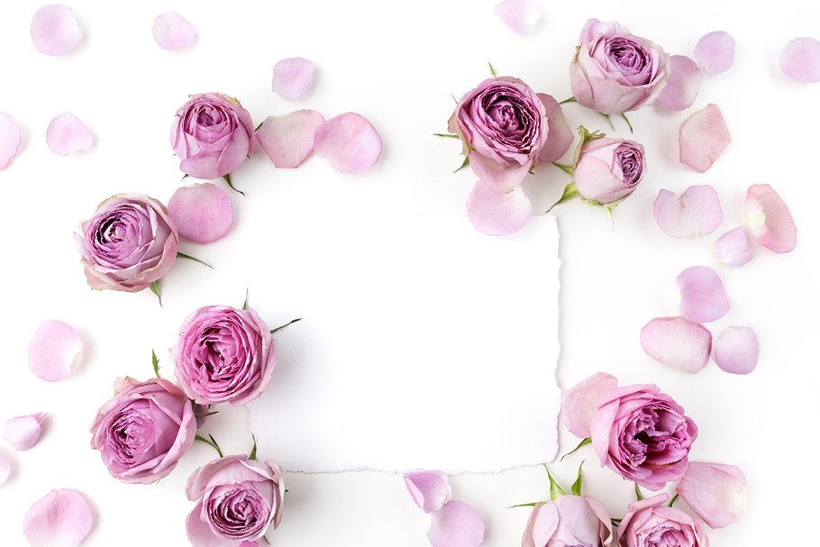 干花装饰框样机模板 20 Floral frames bundle插图(3)