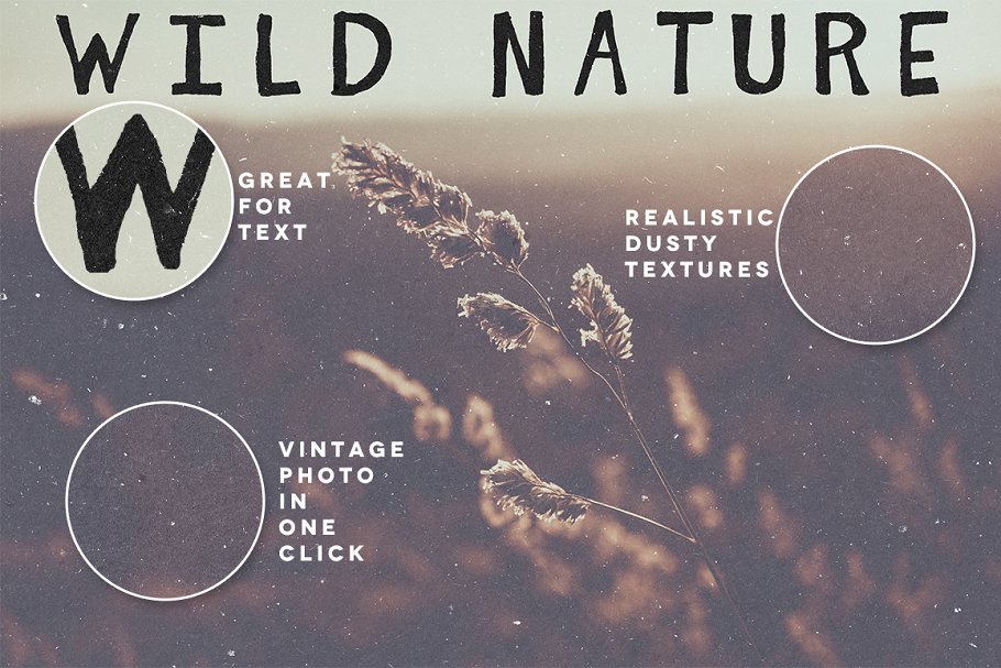 老照片怀旧效果叠层纹理 Dusty Overlay Textures插图(2)