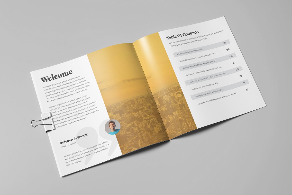 企业简约高效宣传册设计模板插图(11)