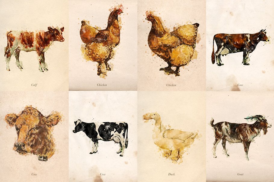 农场主题元素水彩剪贴画 Farm Friends Watercolor Graphics插图(1)