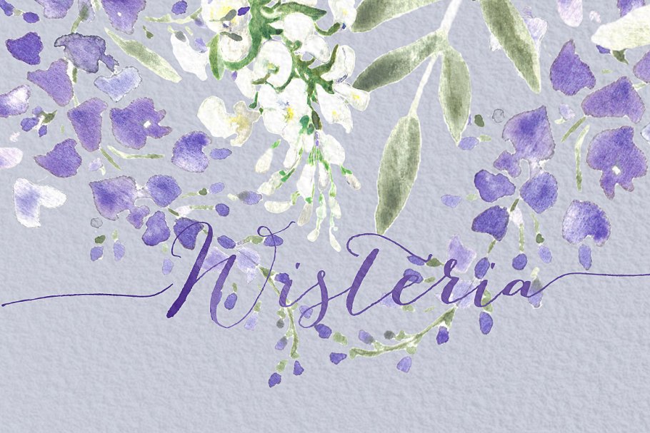紫藤婚礼婚庆水彩画素材 Wisteria wedding watercolors插图