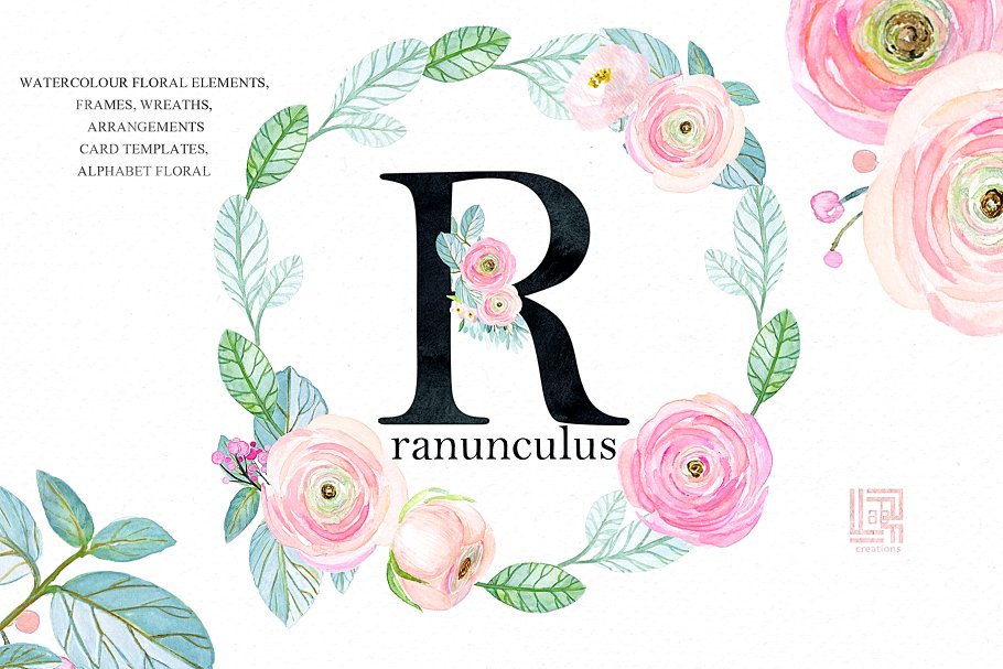 粉红色毛茛属植物水彩剪贴画 Buttercups. Ranunculus soft pink.插图(5)