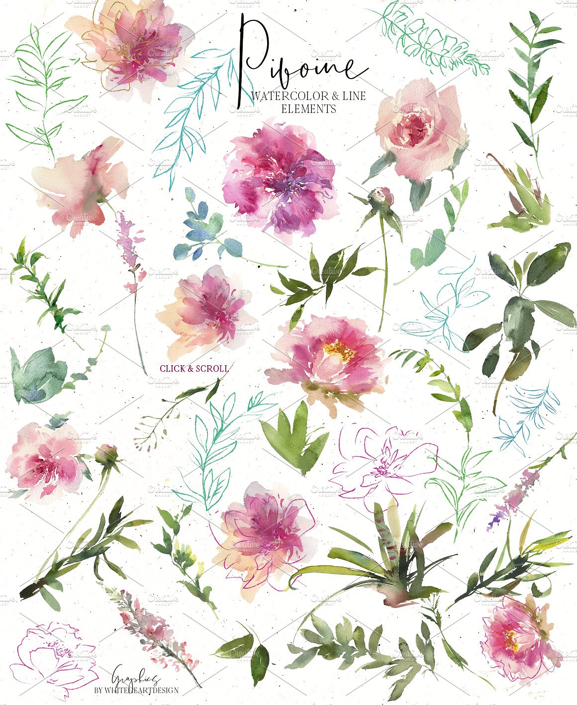 水彩画设计工具包[3.18GB] Pivoine – Watercolor Design Kit插图(24)