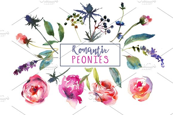 粉色牡丹花水彩剪贴画艺术 Pink Peonies Watercolor Clip Art插图(6)