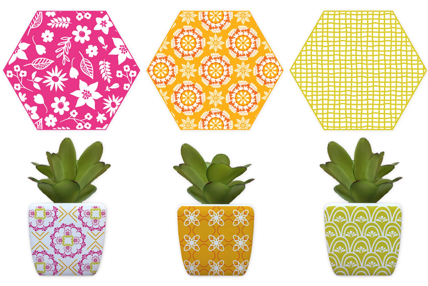 现代花园植物图案纹理 Fresh Modern Garden Patterns插图(2)