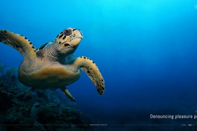 摄影作品展示页面PSD模板 Sepia Photo PSD Template插图(7)