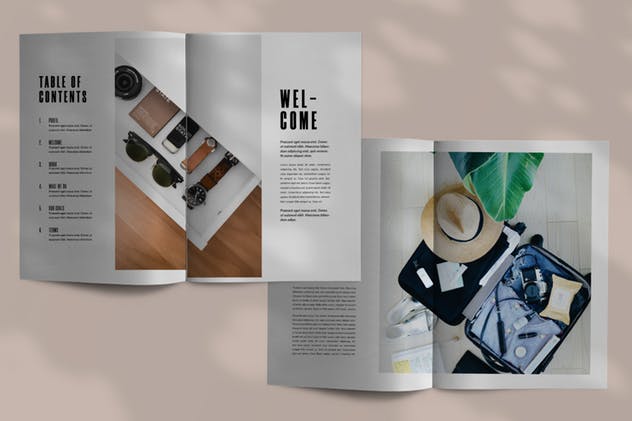 产品目录合作案例演示画册设计模板 Pochinky – Brochure Template插图(2)