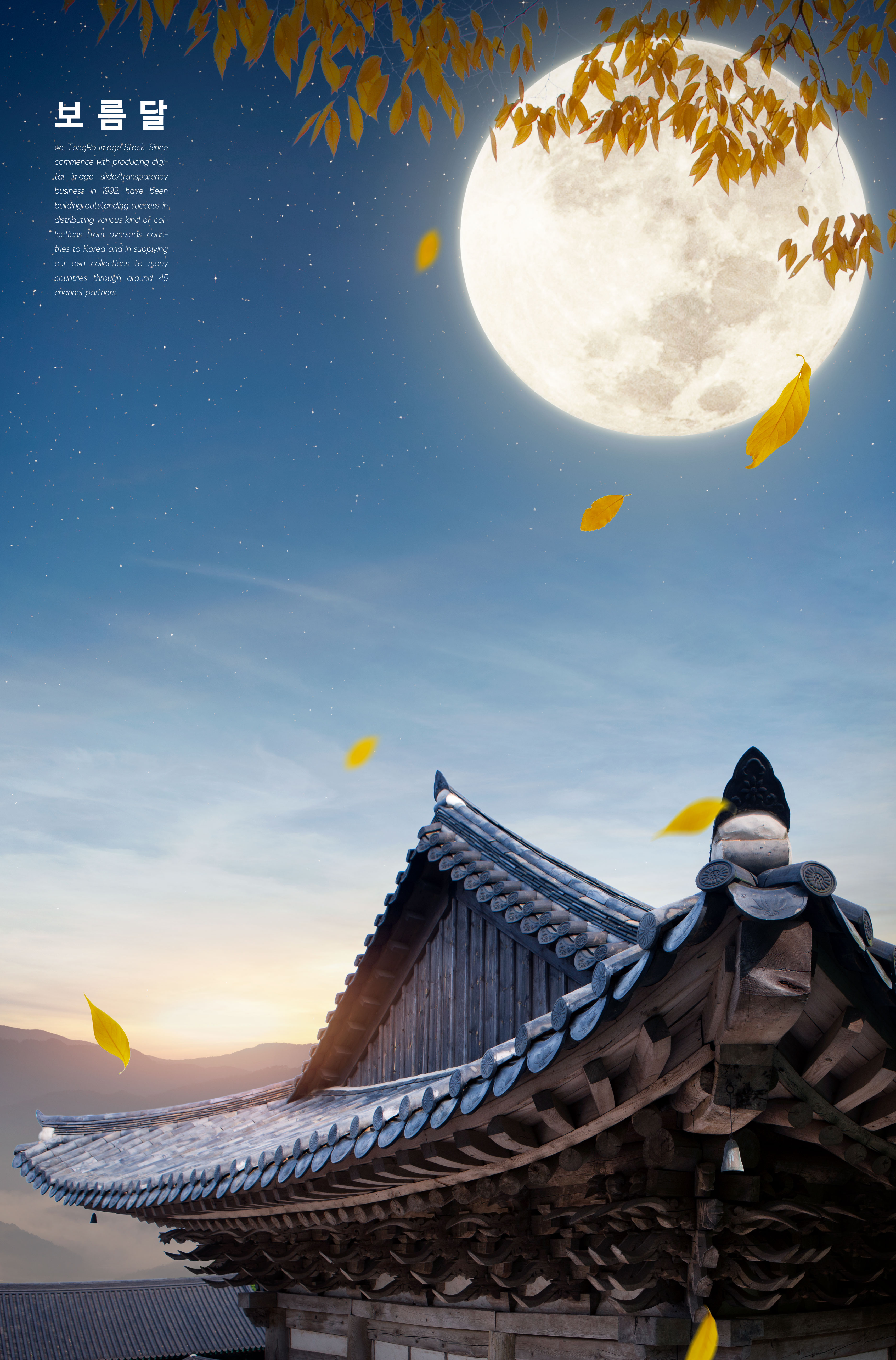 古典风格中秋传统节日海报模板插图