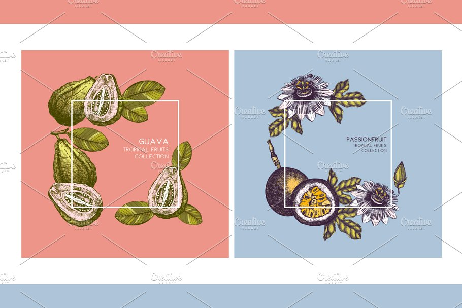 热带水果和植物图案纹理 Tropical Fruits & Plants Patterns插图(8)