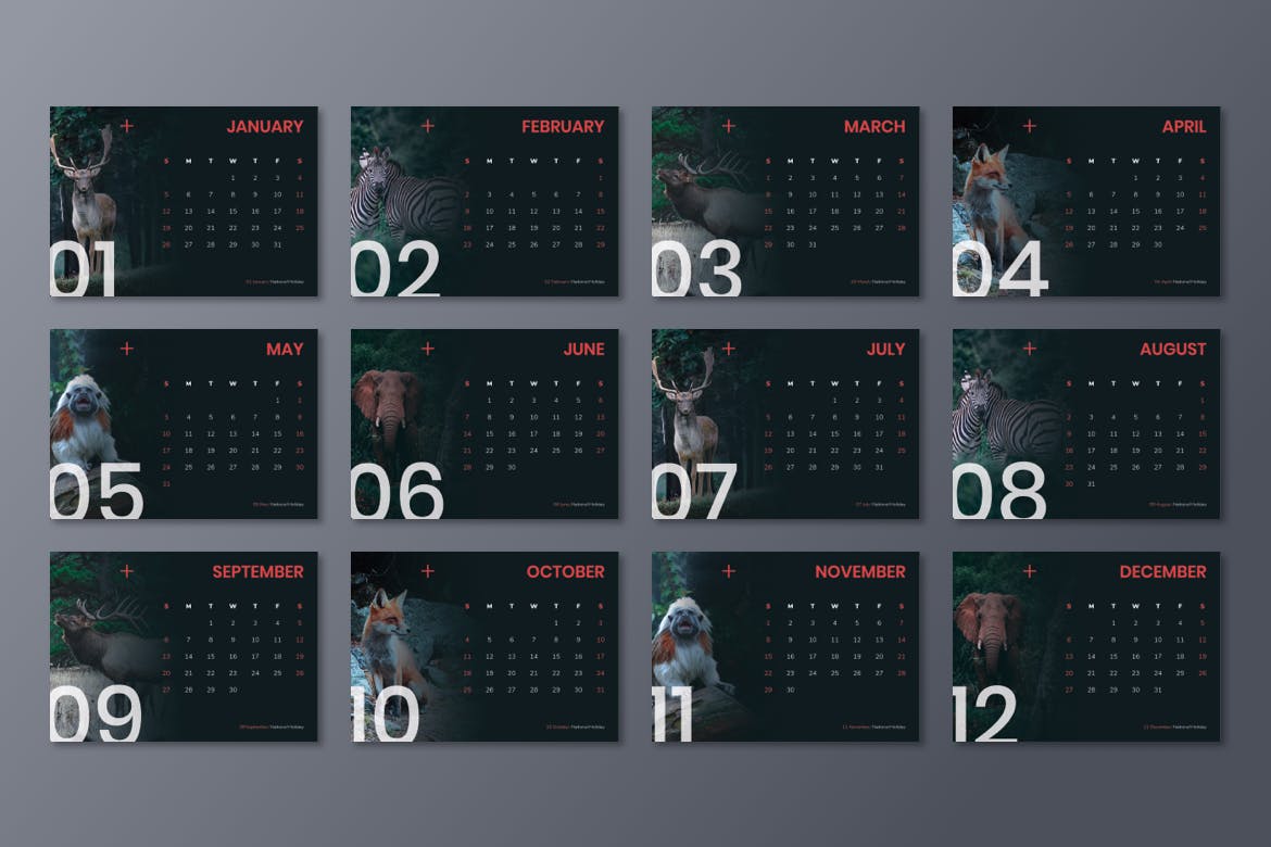动物摄影主题2020款活页日历设计模板 Calendar 2020插图(4)