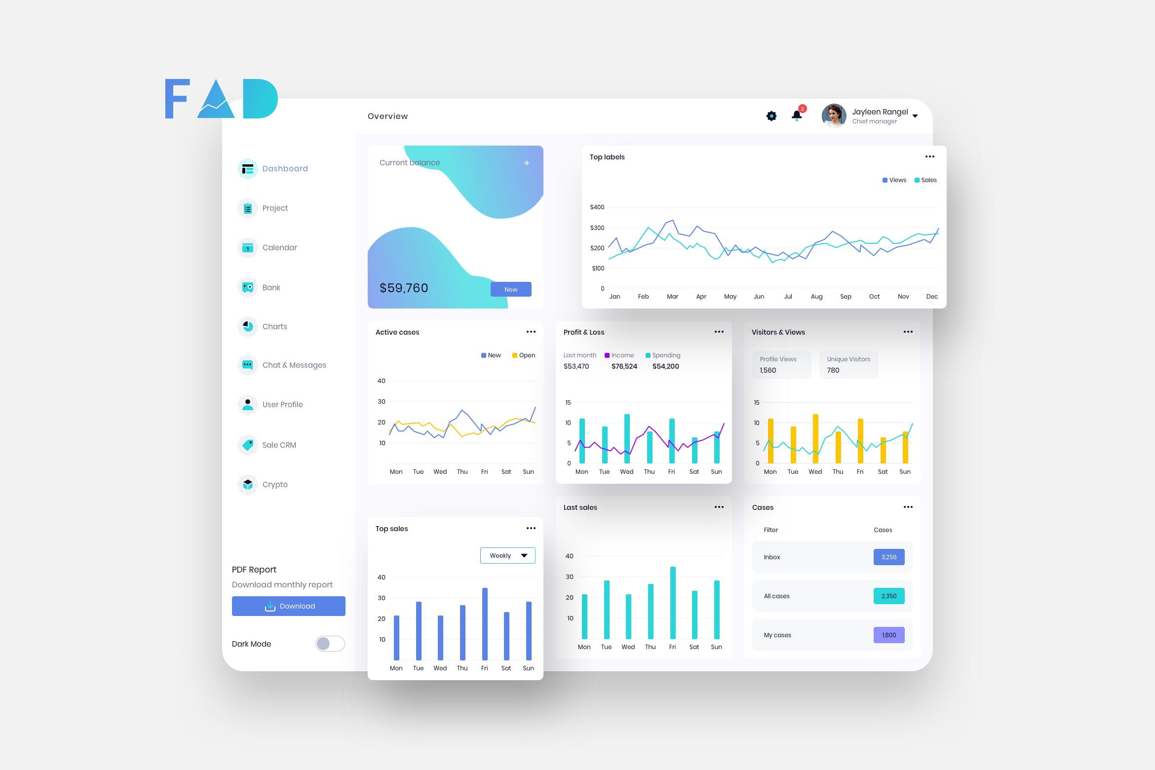 P2P网贷平台数据统计界面设计模板v6 FAD Finance Dashboard Ui Light – P插图