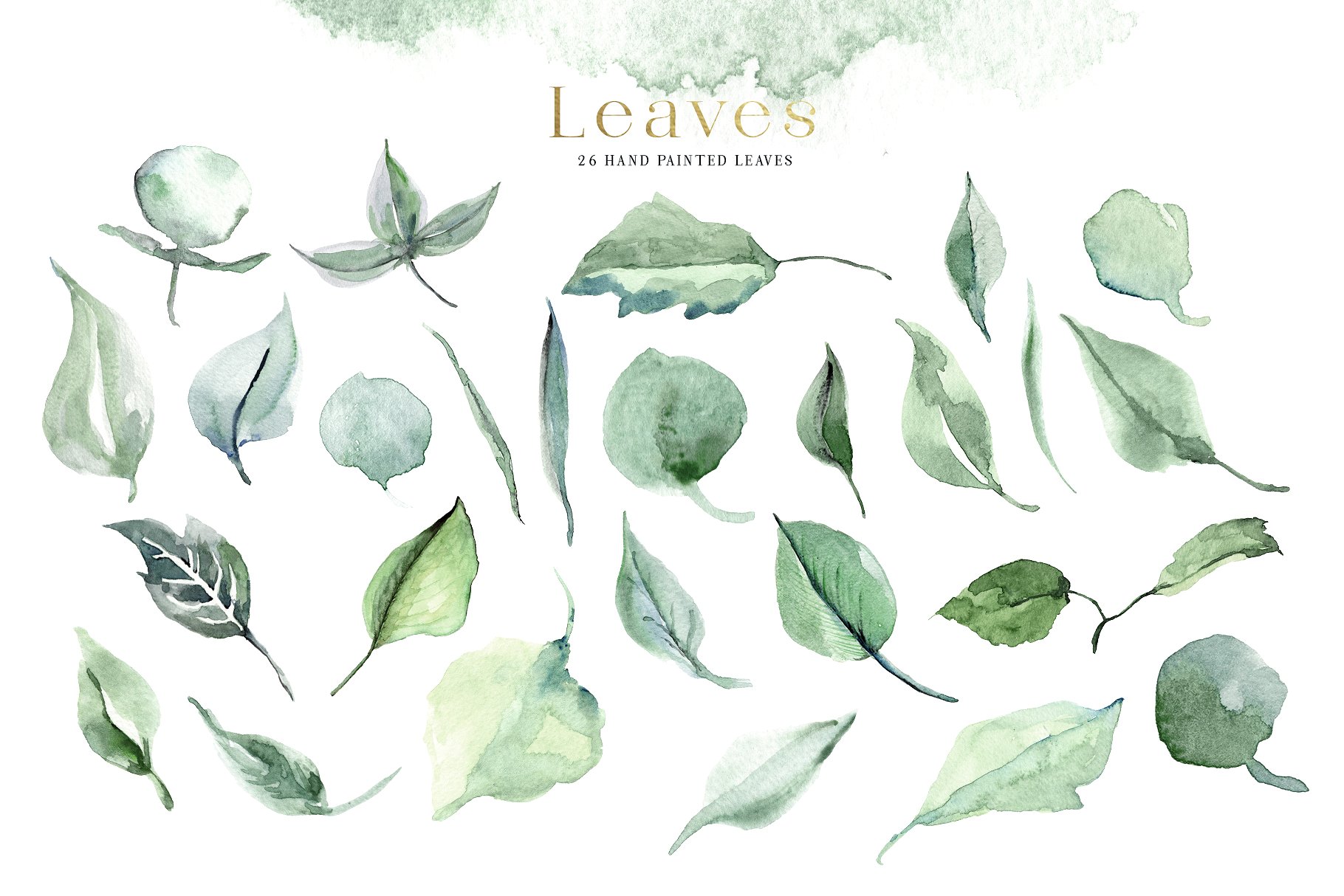 胭脂红玫瑰水彩剪贴画 Creme & Rose Watercolor Set插图(12)