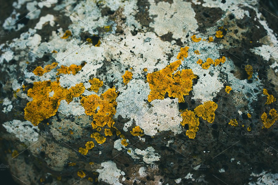 高清自然真实岩石石头照片素材 Rock Solid – Rock & Stone Collection插图(11)