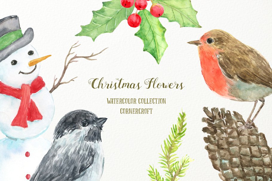 红色圣诞相关主题动植物插画素材 Watercolor Red Christmas插图(3)